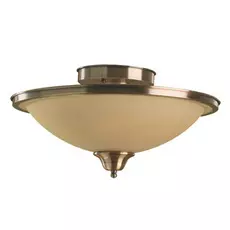 Светильник Arte Lamp SAFARI A6905PL-2AB