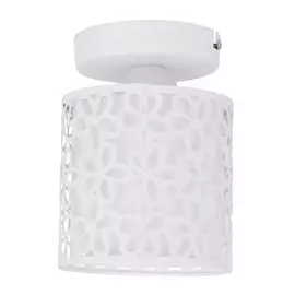 Светильник Arte Lamp TRAFORATO A8349PL-1WH