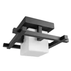 Светильник Arte Lamp Woods A8252PL-1CK