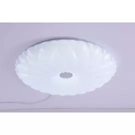 Светильник Camelion LBS-1005