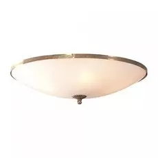 Светильник Citilux БЕЛЫЙ CL912500