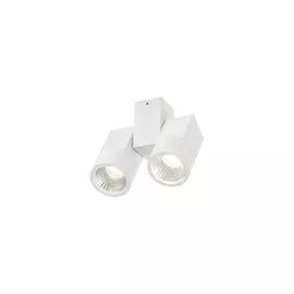 Светильник Citilux ДУБЛЬ CL556100