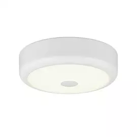 Светильник Citilux ФОСТЕР-1 CL706110