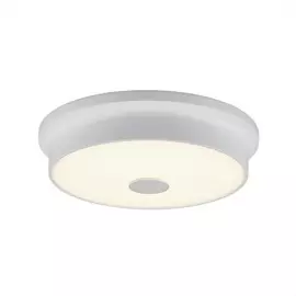 Светильник Citilux ФОСТЕР-2 CL706220