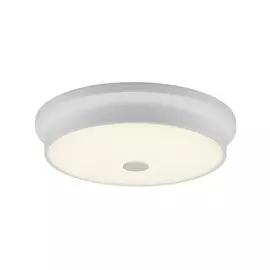 Светильник Citilux ФОСТЕР-2 CL706230