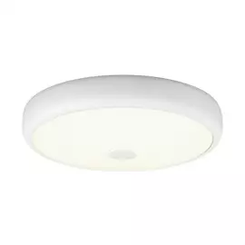 Светильник Citilux ФОСТЕР-3 CL706330