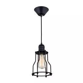 Светильник Citilux ЭДИСОН CL450201