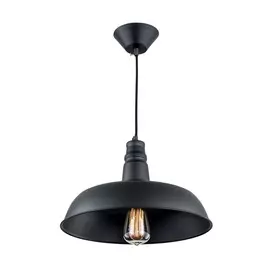 Светильник Citilux Эдисон CL450204