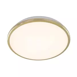 Светильник Citilux ЛУНА CL702222W