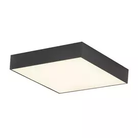 Светильник Citilux ТАО CL712X242N