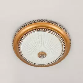 Светильник Citilux ТРЕНДИ-2 CL425352