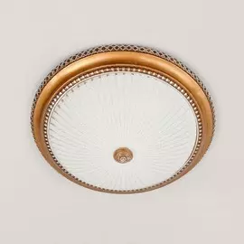 Светильник Citilux ТРЕНДИ-2 CL425502