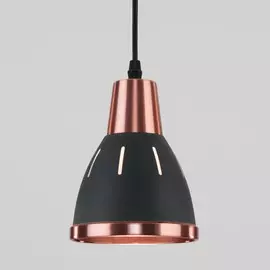 Светильник Eurosvet NORT 50173/1 4690389142727