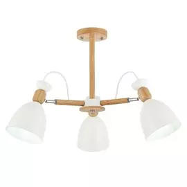 Светильник Evoluce BALCAMO SLE103802-03