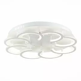 Светильник Evoluce BONN SLE200502-08