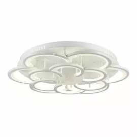 Светильник Evoluce BONN SLE200502-12