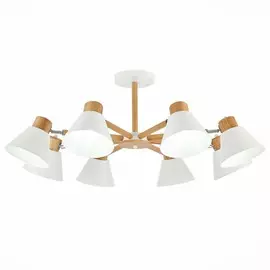 Светильник Evoluce BUVE SLE103702-08