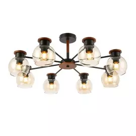 Светильник Evoluce RASCO SLE108102-08