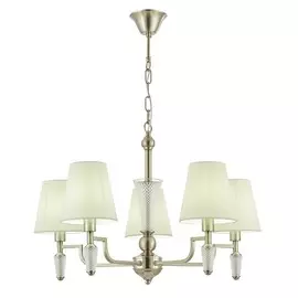 Светильник Evoluce REIMO SLE105503-05