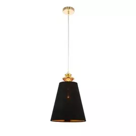 Светильник Evoluce RIONFO SL1137.203.01