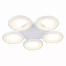 Светильник Freya BLIS FR6010CL-L82W