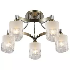 Светильник Freya TASMANIA FR5475CL-05CH