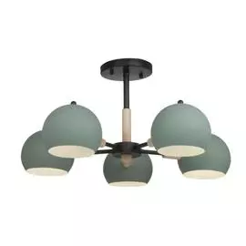 Светильник Freya Trisha FR5032CL-05B