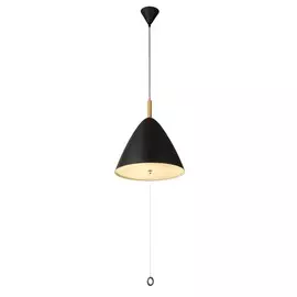 Светильник Globo PURA 15325B