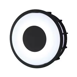 Светильник L`Arte Luce Telma L78056.31