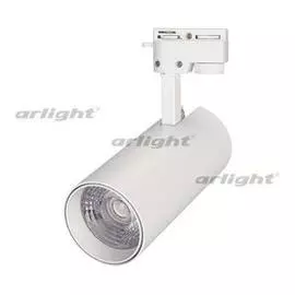 Светильник LGD-GERA-2TR-R74-20W White6000 (WH, 24 deg) Arlight 025909