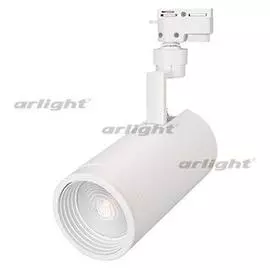Светильник LGD-ZEUS-2TR-R100-30W Day4000 (WH, 20-60 deg) Arlight 025934