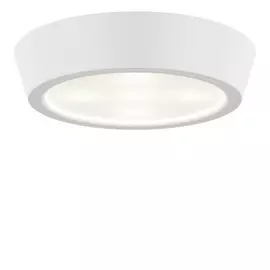 Светильник Lightstar FABI 214704