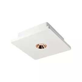 Светильник Loft It ARCHITECT OL1072-WG/1