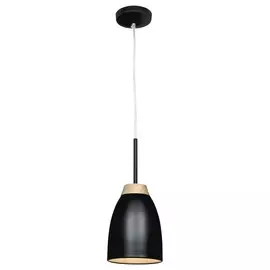 Светильник Loft It WATCHMAN LOFT4402A-BL