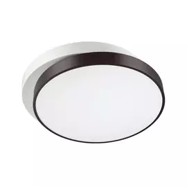 Светильник Lumion AGATHA 4509/72CL