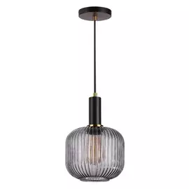 Светильник Lumion MERLIN 4451/1