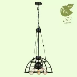 Светильник Lussole BUFFALO GRLSP-9994