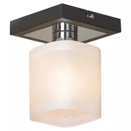 Светильник Lussole COSTANZO LSL-9007-01