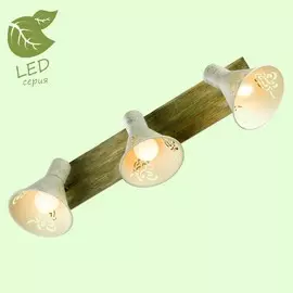 Светильник Lussole MCCONNICO GRLSP-8059