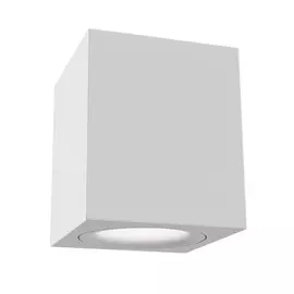 Светильник Maytoni ALFA C013CL-01W