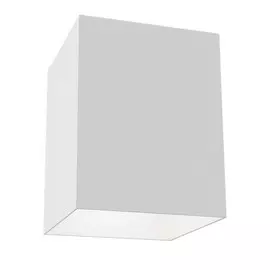 Светильник Maytoni ALFA C015CL-01W