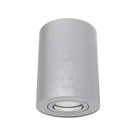 Светильник Maytoni ALFA C016CL-01S