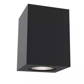 Светильник Maytoni ALFA C017CL-01B