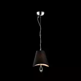 Светильник Maytoni BOSCAGE MOD206-01-N