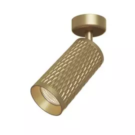 Светильник Maytoni CEILING &amp; WALL C034CL-01G