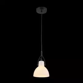 Светильник Maytoni Daniel MOD407-PL-01-B