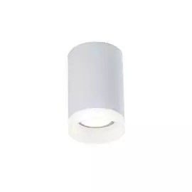 Светильник Maytoni PAULINE C008CW-01W