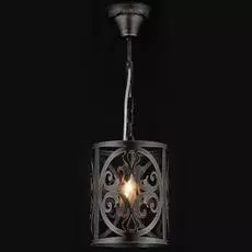 Светильник Maytoni Rustika H899-11-R