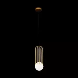 Светильник Maytoni TELFORD P361PL-01G