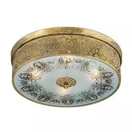 Светильник Odeon Light Aster 2782/4C